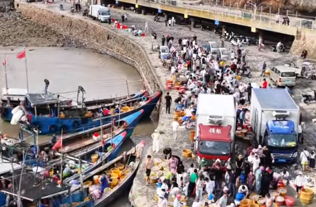 “海上花园”洞头海鲜正肥美 吸引食客寻鲜