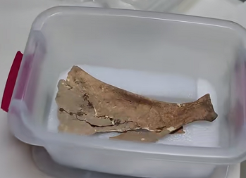 山西夏县辕村遗址发现四座商代墓葬 为研究早商文化格局提供新材料