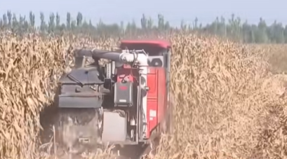 山西上党多措并举战阴雨 力保秋粮归仓