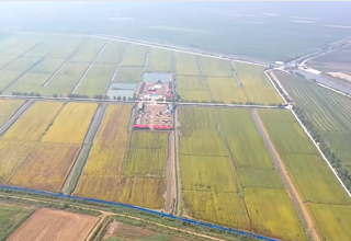 盐碱地变身“北国水乡” 沧县特色农业铺就富民路