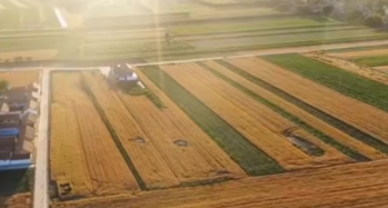 甘肃陇南推广水稻机械化收割 科技助力农业提质增效