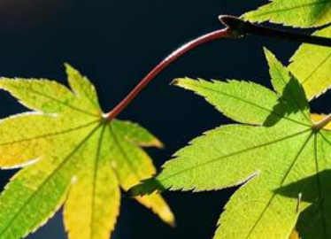 霜降时节保暖需谨慎 消防提醒取暖安全须知