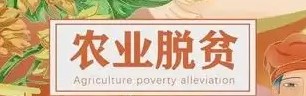 中国减贫经验描绘亚太国家农村新希望