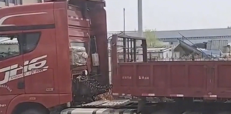 上海警方破获“套路租车”诈骗案 高薪招聘幌子下暗藏合同陷阱