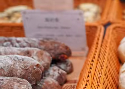 召开食药同源产业研讨会 推动大健康与农业深度融合