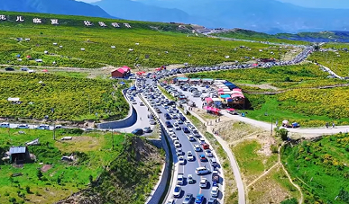 甘肃临夏多民族共建幸福家园 社区服务与产业联动促团结