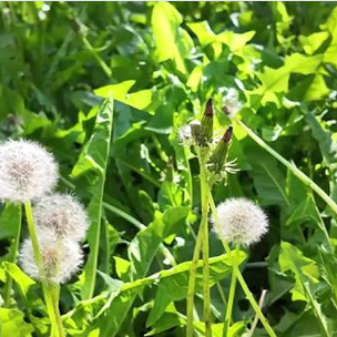 宁夏获批16.5亿元土地储备专项债券