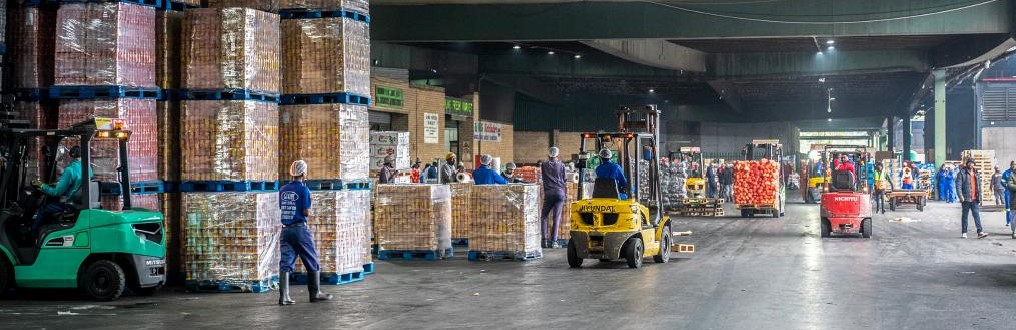 南非果商积极备货向中国出口优质核果