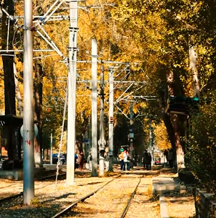 全国多地秋色如画 特色旅游激活消费市场