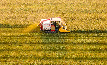 乡村优质生活空间建设助推乡村振兴