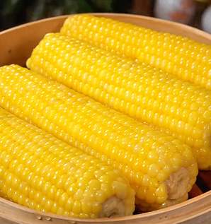 科技赋能五寨甜糯玉米 小作物成就富民大产业