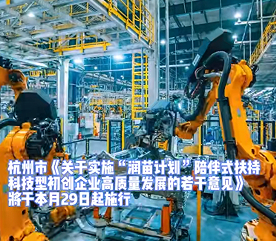 杭州推出“润苗计划” 构建科技企业梯度培育体系