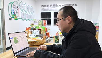 电商赋能庆阳苹果走出黄土高原 新农人直播带货创销售佳绩