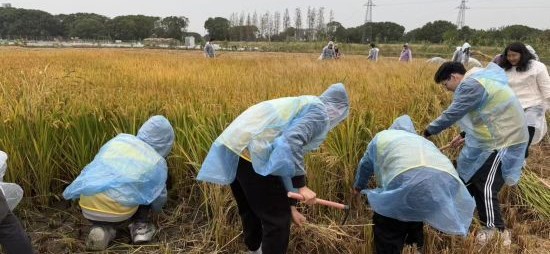 青春力量扎根乡野 躬身实践赋能乡村
