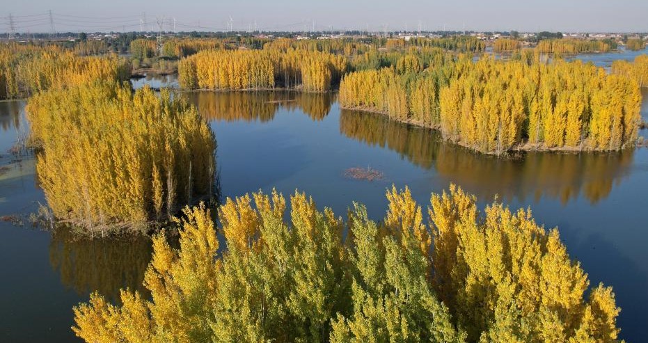 初冬泜河风光秀美