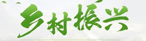 银川兴庆区公示乡村振兴衔接项目清单 总投资超 5.6 亿元