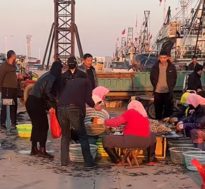 昔日渔港变身旅游热土，南排河镇探索“渔业+旅游”振兴路