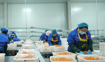 珠遵协作结硕果 特色产业铺就山区致富路