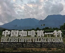 沪滇协作结硕果：咖啡香飘振兴路，傈僳村寨展新颜