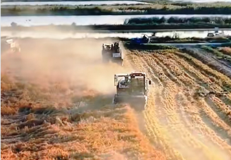 全国秋粮收购量突破亿吨 市场购销两旺