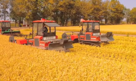 佳木斯"十四五"农业提质增效 粮食产量创新高