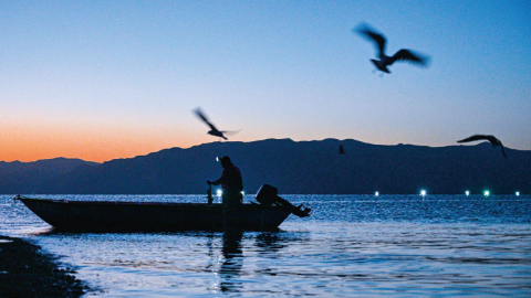 龙羊峡畔的高原“渔光曲”