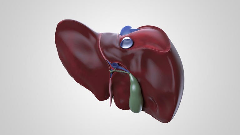 3种最伤肝的“豆类”，黄豆、黑豆也在榜上？不懂的还在天天吃
