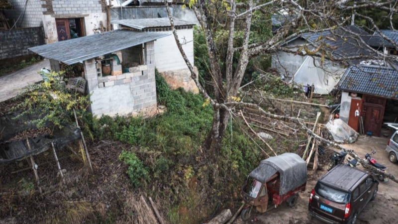 “蜂拥而上”的虎头蜂产业，是商机还是骗局