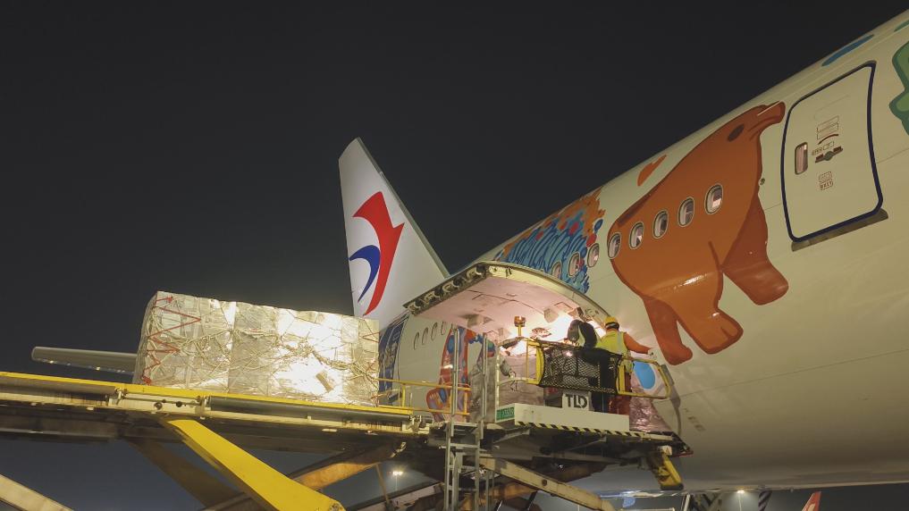 东航全球最长单程航线首个航班回程 中拉“生鲜速运”再添新通道