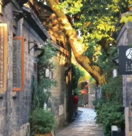 ​此心安处是吾乡