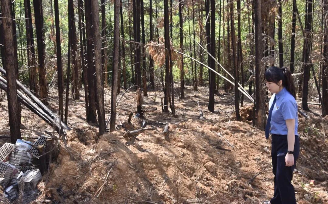 村民因祭祖烧纸引发火灾 赔了70万还被判