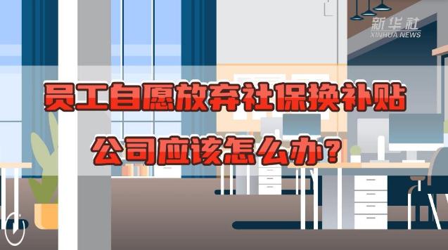 劳动者权益保护丨员工自愿放弃社保换补贴，公司应该怎么办？(图1)