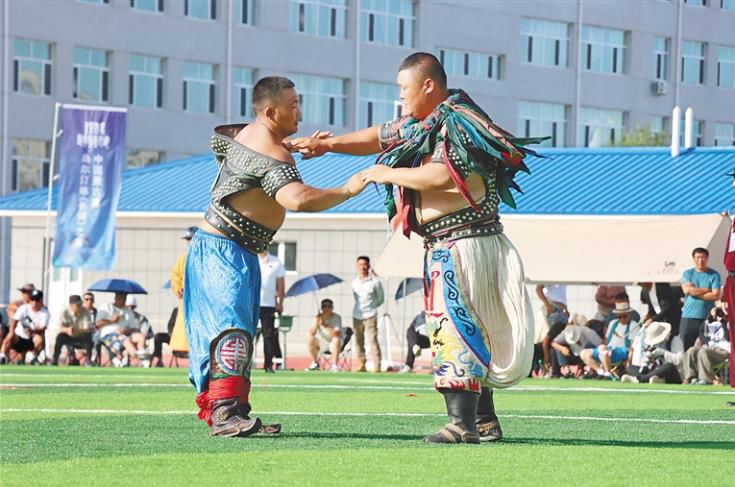 海南代表团在全国民族式摔跤比赛中收获13个奖项