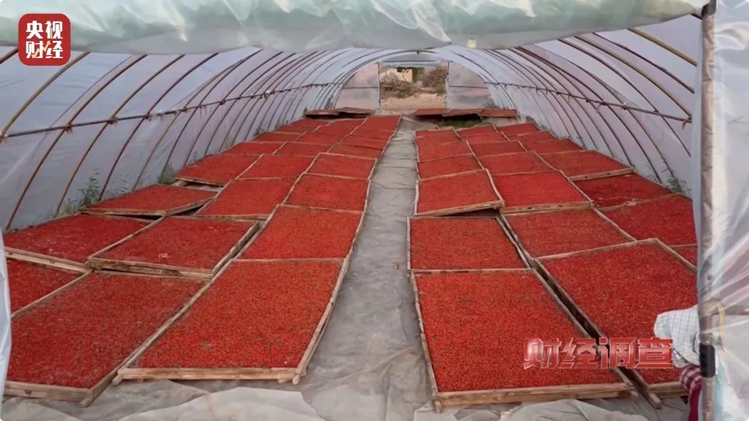 多个枸杞生产地出现“硫超标”，食品安全如何保障？(图1)