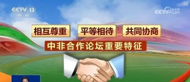 中非合作论坛｜“一根原木盖不起一幢房屋”(图1)
