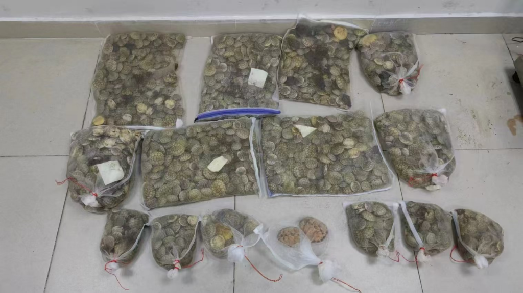 “偷运”上千只红耳彩龟 全国首例非法引进外来入侵物种刑事案件宣判(图1)