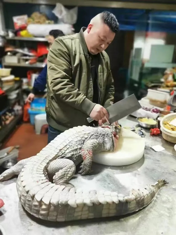 顶峰夜宴——天亮文化味你而来(图2)