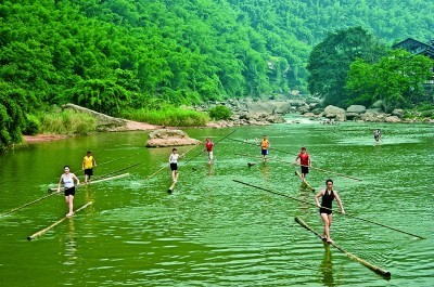 贵州赤水：无边竹海碧波涌(图3)