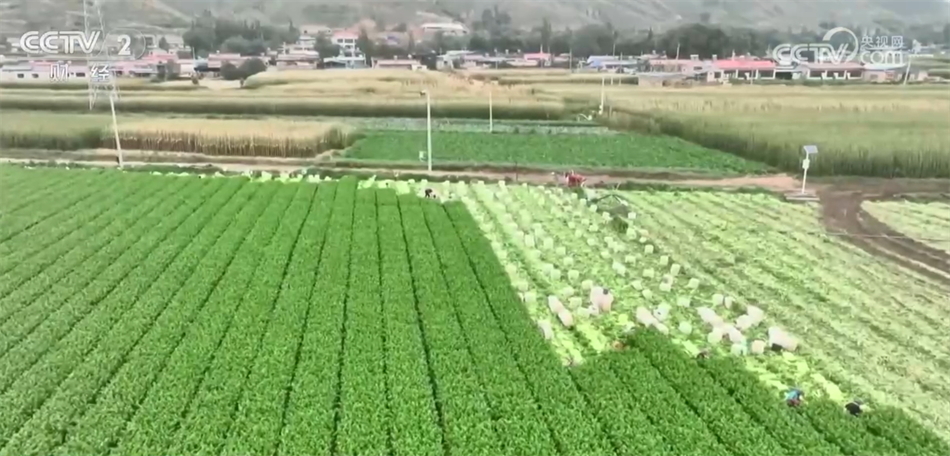“菜篮子”稳产基础好 预计价格将逐步回落进入季节性下行区间(图1)