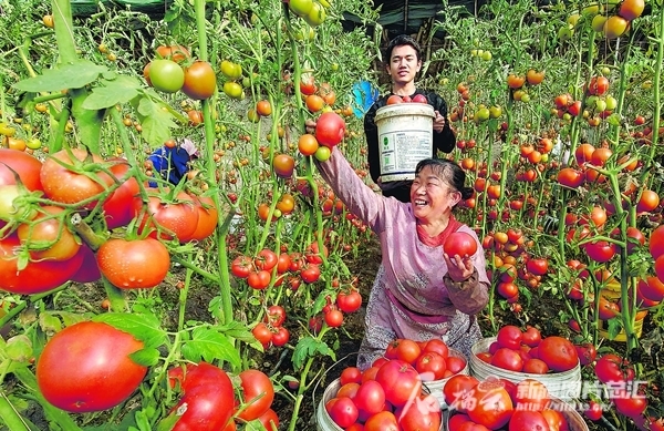 产业旺了 农民富了 乡村美了(图1)