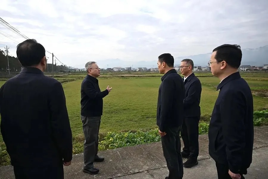 百亩永久基本农田违规改种景观草皮，省委书记暗访后当地表态(图1)