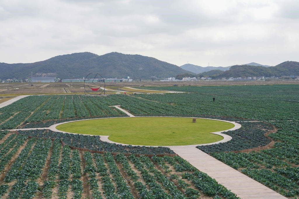 浙江岱山：智慧农业释放蓬勃潜能(图1)