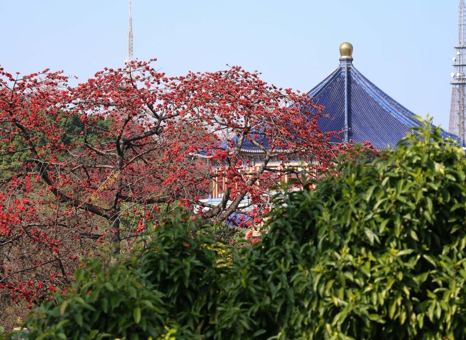 春风柔 百花开(图2)