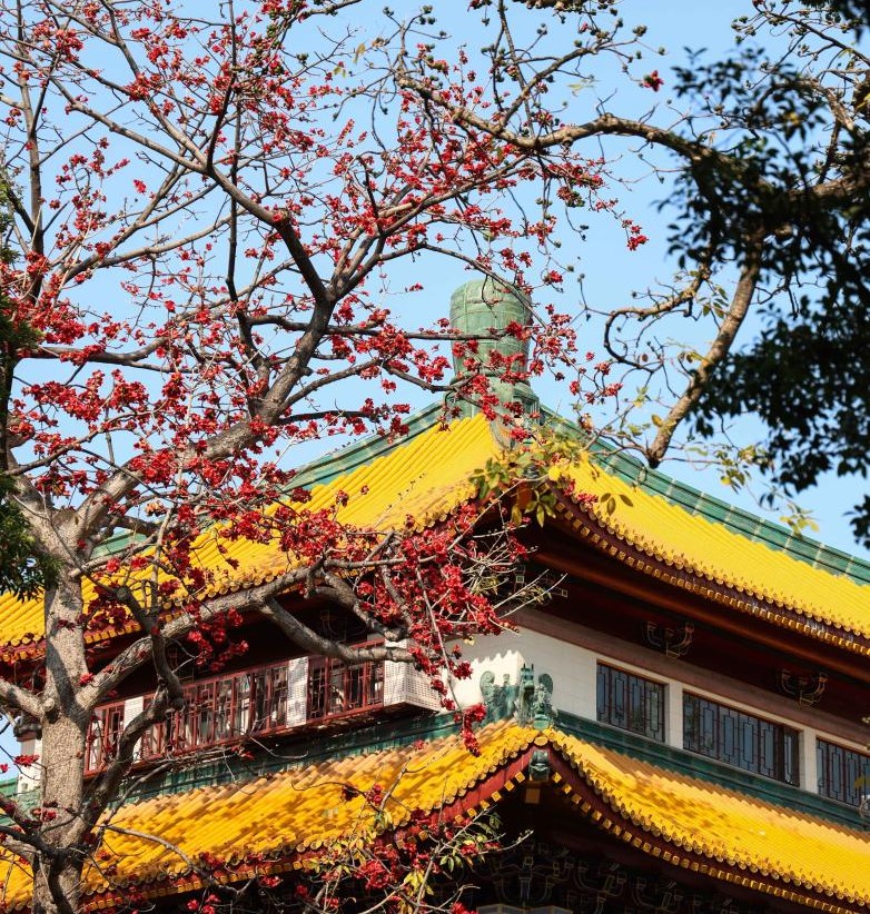 春风柔 百花开(图1)