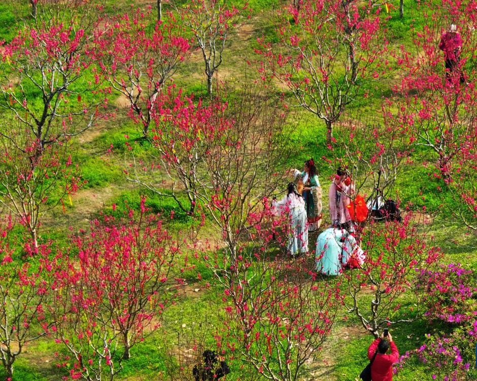 春风柔 百花开(图4)