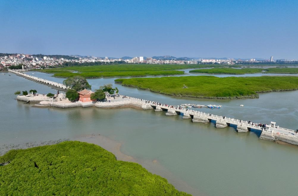 福建泉州：古桥红树共潮生(图3)