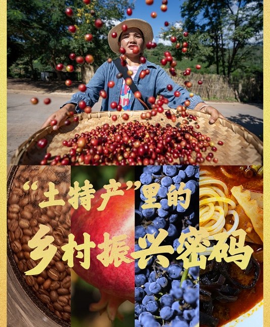 “土特产”里的乡村振兴密码(图1)