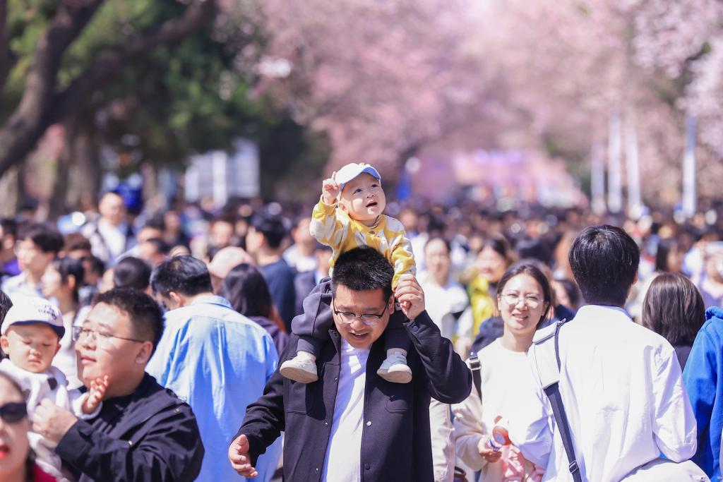 次第花开撬动吉林“赏花经济”(图2)