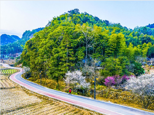 鹭栖福地绘新卷 南会村多维振兴展新姿(图1)