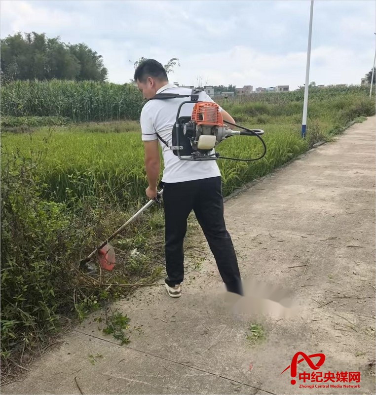 肇庆封开县金装镇大田村：干部履职显担当 乡村振兴谱新篇(图3)